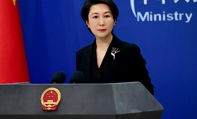 到访的岩屋毅口气变得老老实实m6米乐中方提前立了3个规矩(图3)
