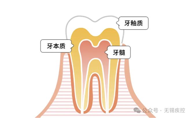 多无锡人天天喝！毁牙最厉害！很(图3)