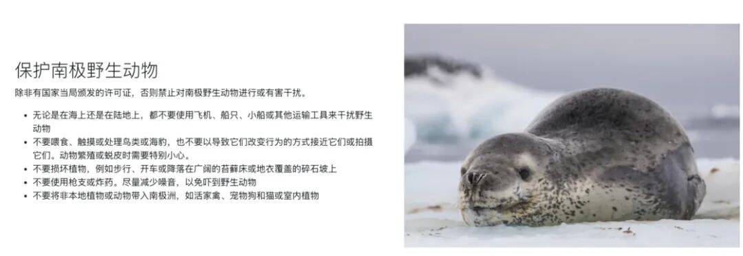 :一份南极旅游指南当世界尽头成为热搜(图5) :一份南极旅游指南当世界尽头成为热搜(图5)