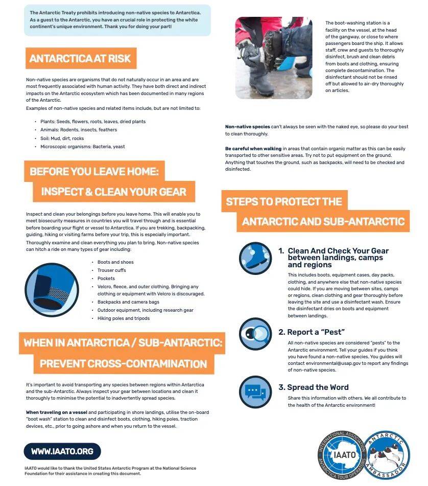 ：一份南极旅游指南当世界尽头成为热搜(图7)